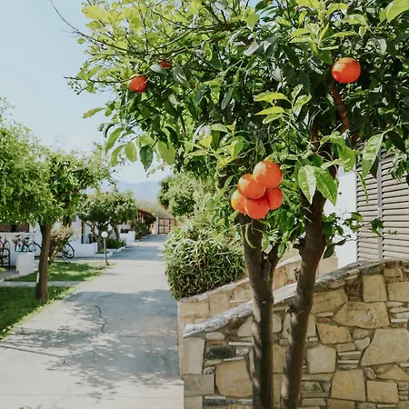 Cottages On Kos *